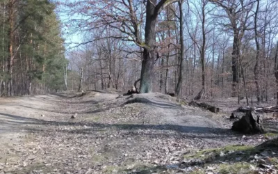 Schatzsuche Parforceheide – Pilotprojekt